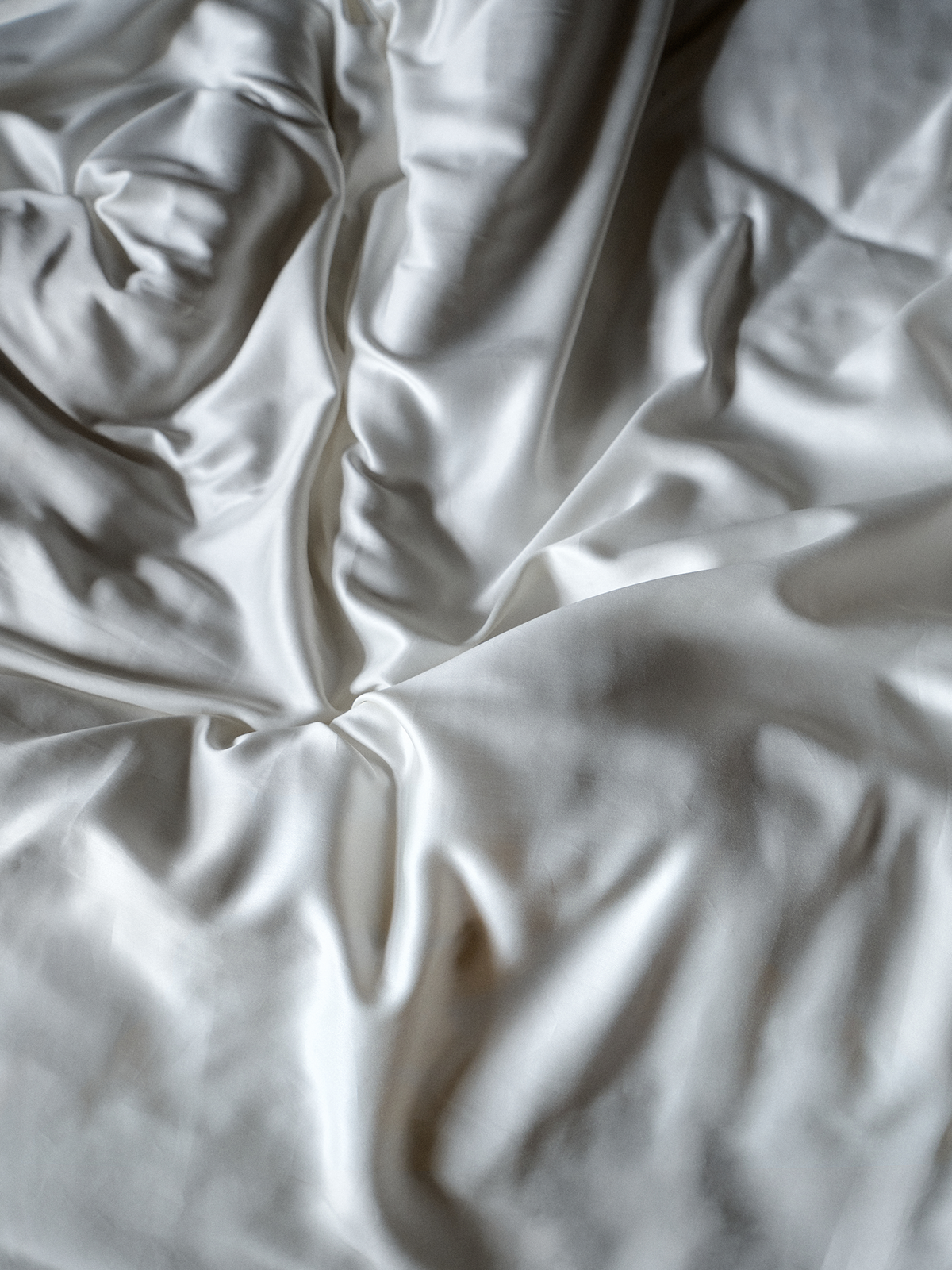 October Duvet Cover - Big Cat